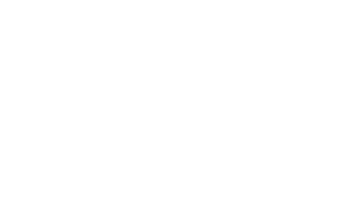 Gira Silver